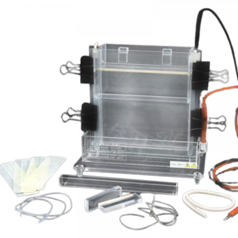 六一生物单垂直电泳仪DYCZ-22A