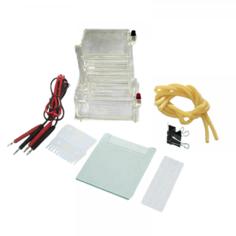 六一生物小型单垂直电泳仪DYCZ-23A