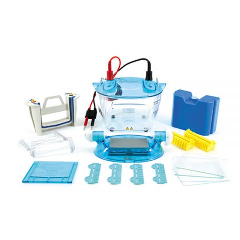 六一生物双板垂直电泳仪标准版DYCZ-24KS