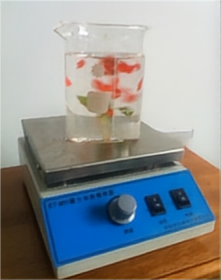 磁力搅拌器